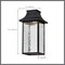Nuvo Austen Collection Outdoor Hanging Fixture LED SMART Starfish RGBTW, Matte Black Clear Water Glass 62/5996 - alternate 2